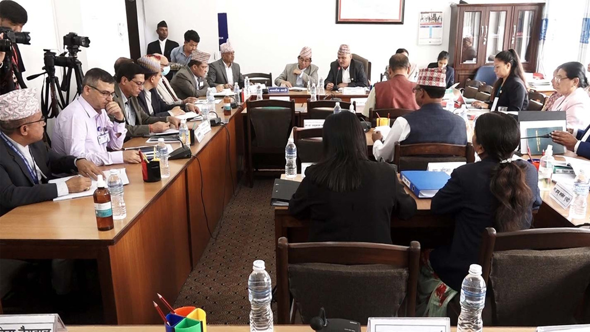 चिकित्सा शिक्षाका समस्याको अध्ययन गर्न कार्यदल बनाउने सहमति